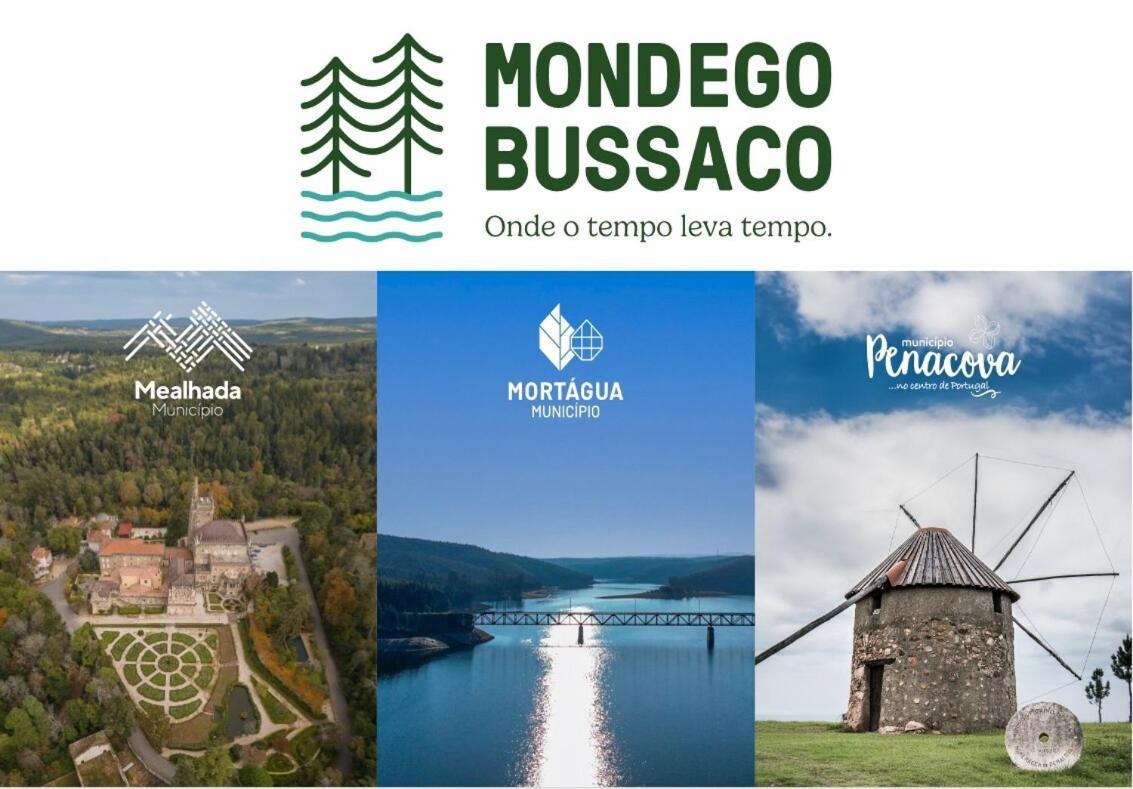 Mimosa Village - Turismo De Natureza Mortágua Extérieur photo