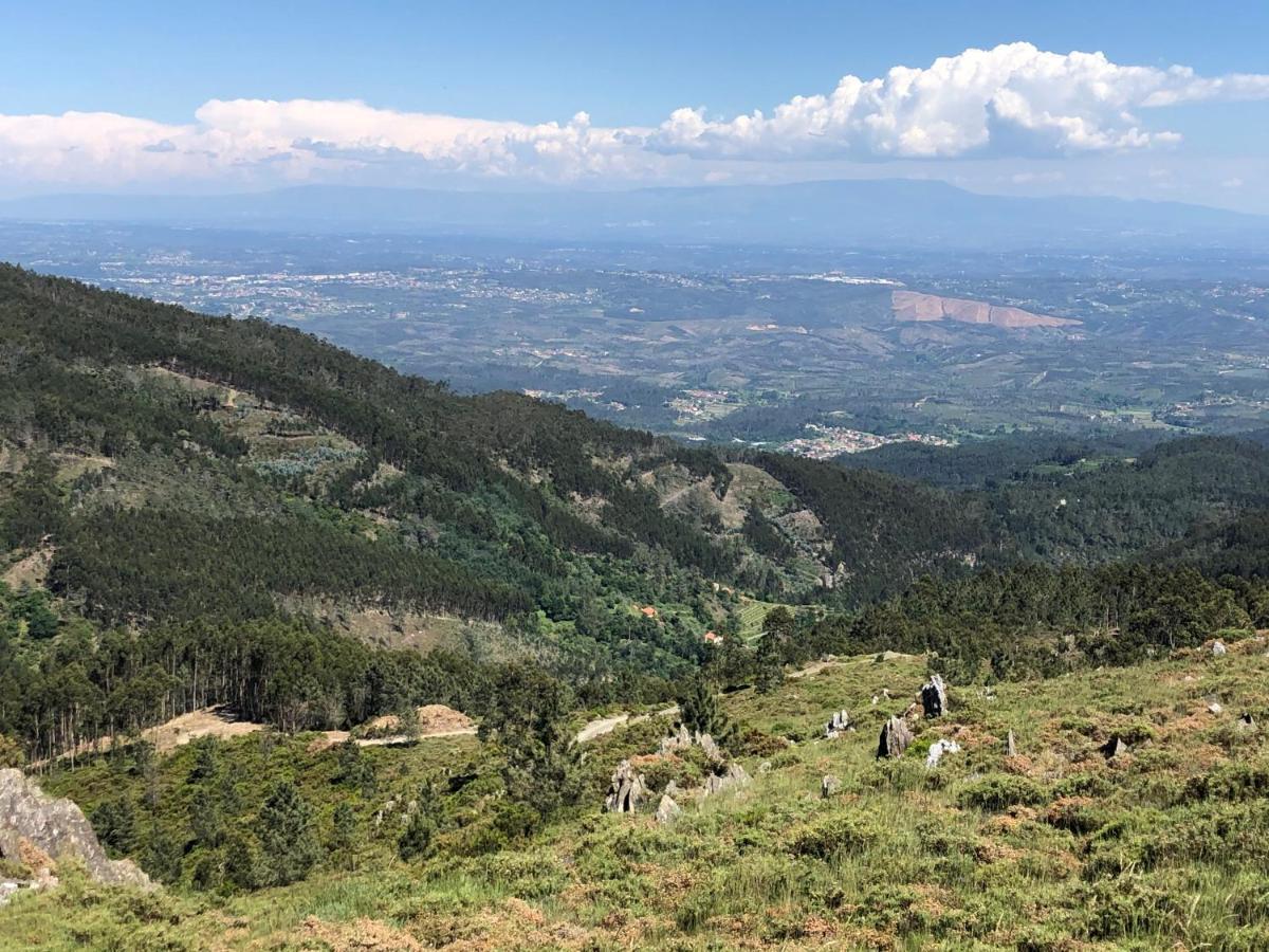 Mimosa Village - Turismo De Natureza Mortágua Extérieur photo
